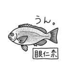 魚好き★釣り好き リアルお魚スタンプ（個別スタンプ：22）