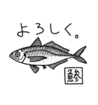 魚好き★釣り好き リアルお魚スタンプ（個別スタンプ：23）