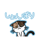 ぼく、ねこ。2（個別スタンプ：15）