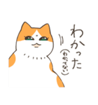 ねこちゃんと日常会話（個別スタンプ：5）