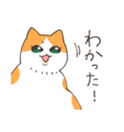 ねこちゃんと日常会話（個別スタンプ：6）