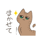 ねこちゃんと日常会話（個別スタンプ：12）