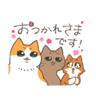 ねこちゃんと日常会話（個別スタンプ：16）