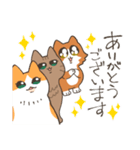 ねこちゃんと日常会話（個別スタンプ：20）