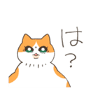 ねこちゃんと日常会話（個別スタンプ：27）