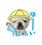 癒されスタンプ！！愛犬きんたん編（個別スタンプ：3）