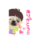 癒されスタンプ！！愛犬きんたん編（個別スタンプ：5）