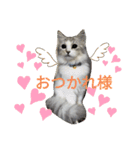 @レオン（個別スタンプ：2）