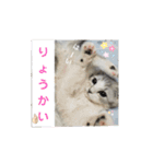 @レオン（個別スタンプ：3）