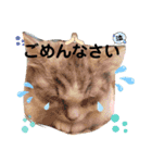 @レオン（個別スタンプ：10）