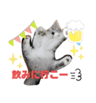 @レオン（個別スタンプ：15）