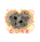 @レオン（個別スタンプ：16）