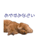 ルルイチコタマニウユ（個別スタンプ：4）