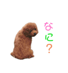 ルルイチコタマニウユ（個別スタンプ：7）