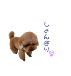 ルルイチコタマニウユ（個別スタンプ：9）