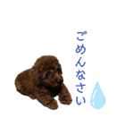 ルルイチコタマニウユ（個別スタンプ：12）