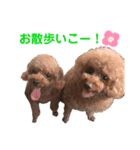 ルルイチコタマニウユ（個別スタンプ：16）