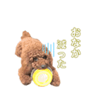 ルルイチコタマニウユ（個別スタンプ：17）