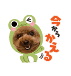 ルルイチコタマニウユ（個別スタンプ：19）