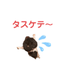 ルルイチコタマニウユ（個別スタンプ：21）