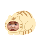 てんねの日常（個別スタンプ：23）