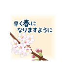 今年の桜スタンプ 桜② 優しい桜（個別スタンプ：5）