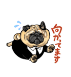 BOSS パグとエージェントT（個別スタンプ：7）