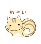 ねここりす（個別スタンプ：4）