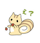 ねここりす（個別スタンプ：5）