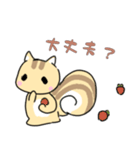 ねここりす（個別スタンプ：15）