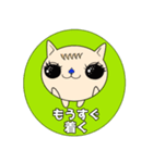 可愛い猫★Rikomaru 日常スタンプ（個別スタンプ：5）