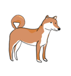 INUandWAN（個別スタンプ：5）