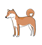 INUandWAN（個別スタンプ：6）
