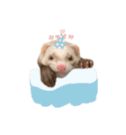 フェレットのむたくん（個別スタンプ：7）
