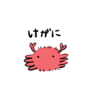 けがにさん（個別スタンプ：1）