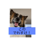 すみか 茨城弁 2（個別スタンプ：1）