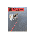 すみか 茨城弁 2（個別スタンプ：7）