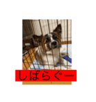 すみか 茨城弁 2（個別スタンプ：9）