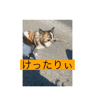 すみか 茨城弁 2（個別スタンプ：12）