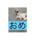 すみか 茨城弁 2（個別スタンプ：13）