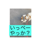 すみか 茨城弁 2（個別スタンプ：14）