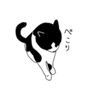 鼻が黒いはちわれ猫のスタンプ（個別スタンプ：6）
