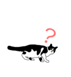 鼻が黒いはちわれ猫のスタンプ（個別スタンプ：7）