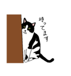 鼻が黒いはちわれ猫のスタンプ（個別スタンプ：8）