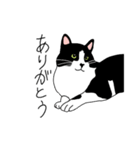 鼻が黒いはちわれ猫のスタンプ（個別スタンプ：9）