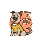 雑種犬あんず（個別スタンプ：3）