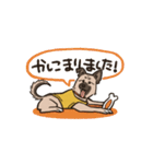 雑種犬あんず（個別スタンプ：11）
