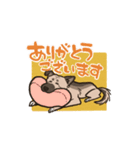 雑種犬あんず（個別スタンプ：12）