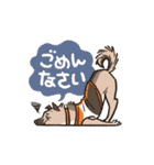 雑種犬あんず（個別スタンプ：15）