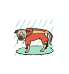 雑種犬あんず（個別スタンプ：16）